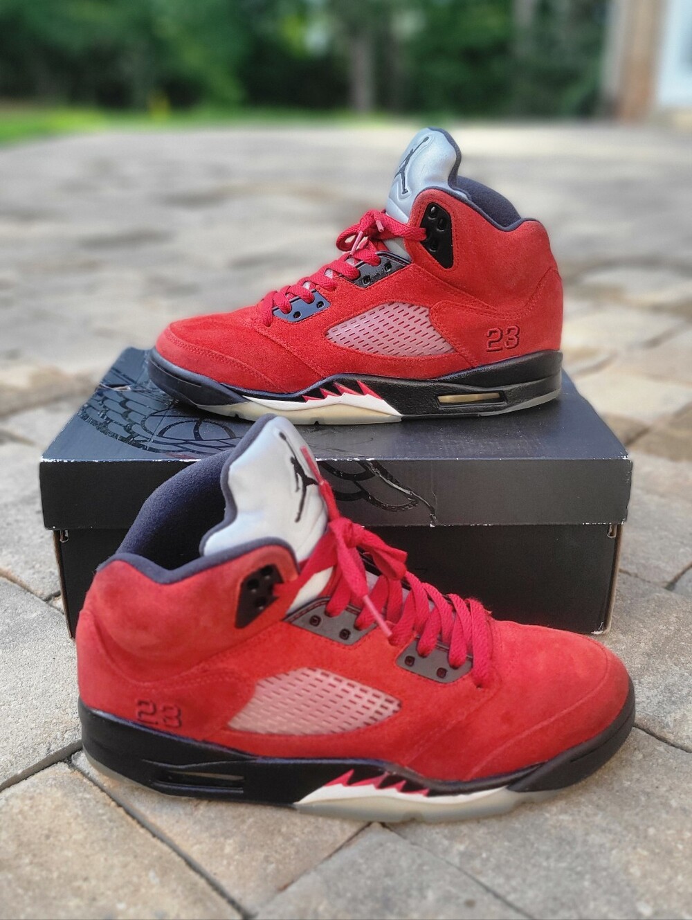 Jordan 5 Retro 'Raging Bull' (2021)